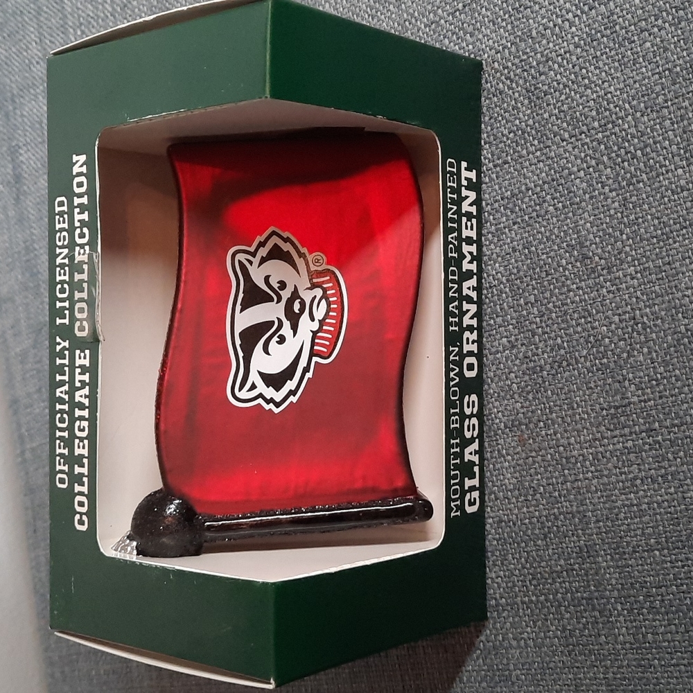 University of Wisconsin Flag Glass Ornament Badger Old World Christmas Rare NIB